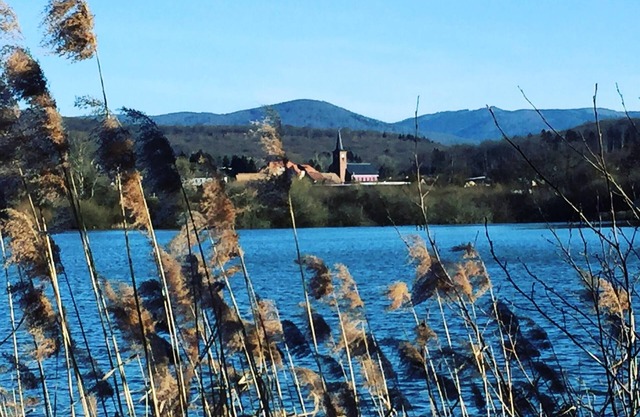 Campsite L'Etang des Forges* - Mobile Home Super Astria 2 Rooms 2 People