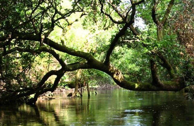 Campsite Lou Payou* - Mobile Home Super Mercure 3 Rooms 4 People