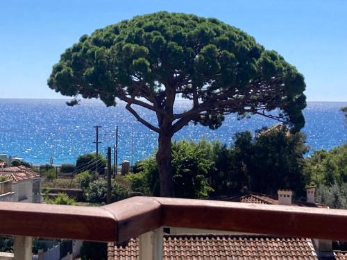 Cannes Beach Access, Private Room in Shared 3-Bedroom Apartment, Private Bathroom, Living Room with Sea View Suite Parentale salle de bain privée accès plages & vue mer du salon dans appartement partagé chez l'habitant