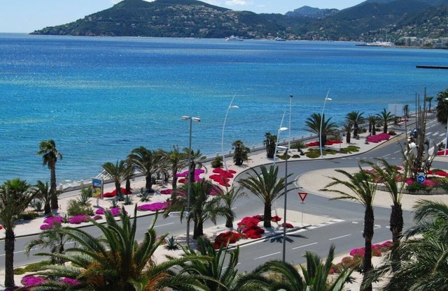 -CANNES MIDI CYDONIA-