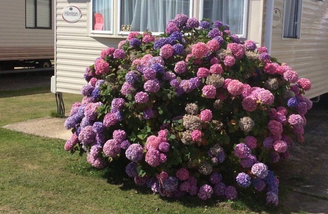 Caravan on 5 Star Holiday Park nr. Beaches and New Forest