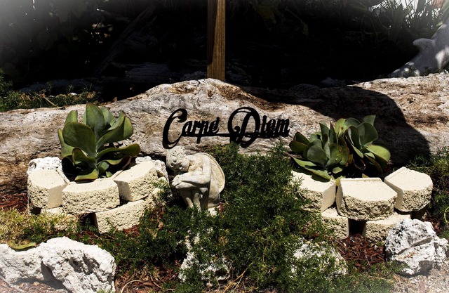 Carpe' Diem Heart of the Fl. Keys Specials