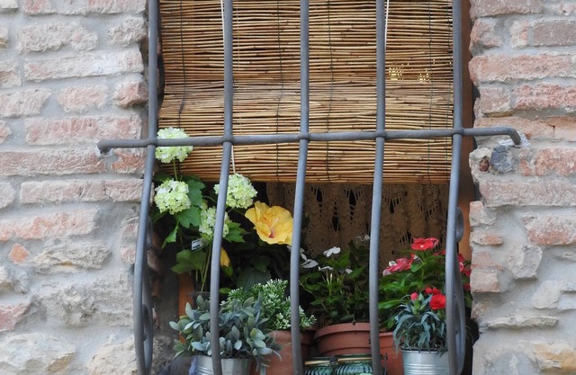 CASA ALDEN - Cozy Tuscan Property