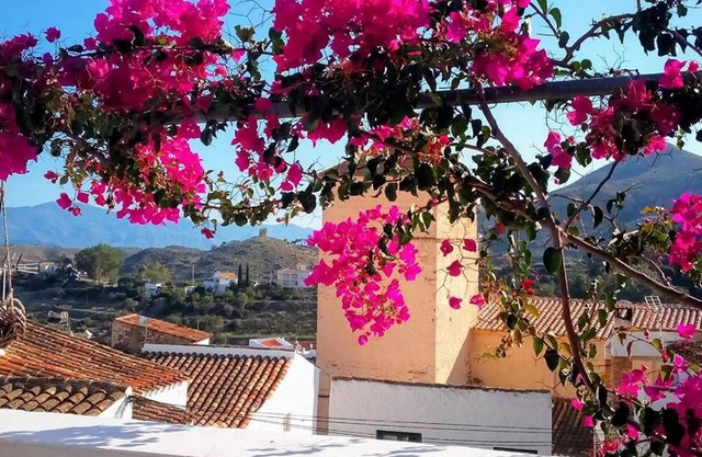 Casa Caballito De Mar Boutique B&B