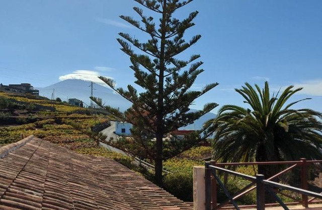Casa Canarina
