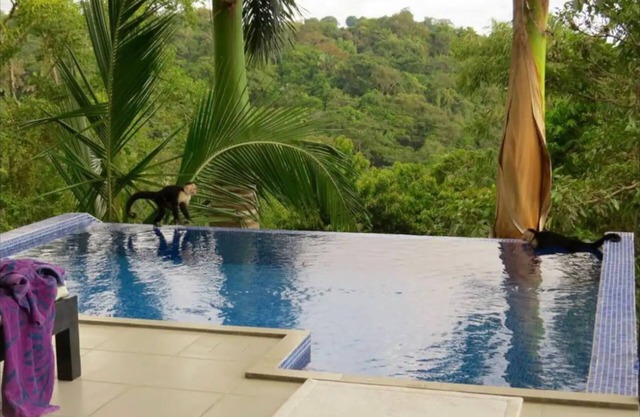 Casa con espectacular vista al mar