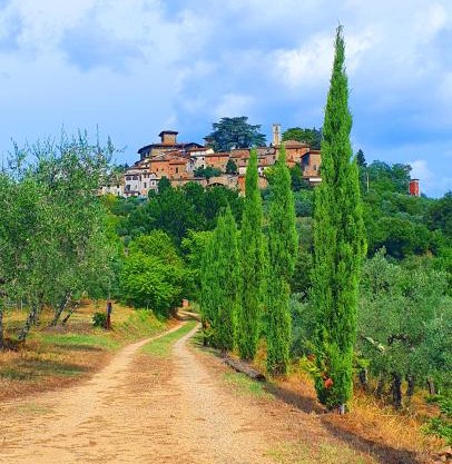 Casa di Laura in Chianti - large & charming house (host 7 people)