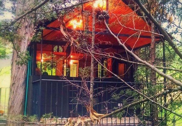 Casa En El Árbol Con Sauna somos PETFRIENDLY