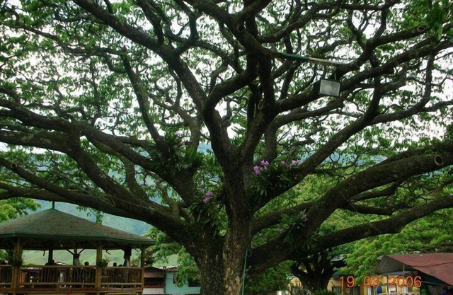 Casa Hotel Castellón