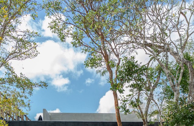 Casa Lili - private house overlooking the jungle with infinity pool