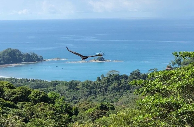 Casa Naranja spacious home surrounded by tropical forest with superb bay view