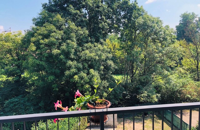 Casa Nonna Elide 2 is a whole apartment of 43 sq. m.