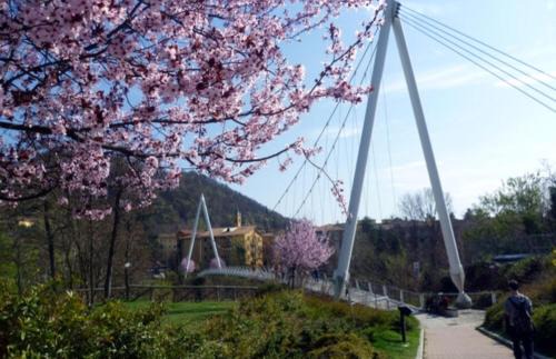 Casalecchio vista Reno