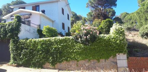 Casita San Martín