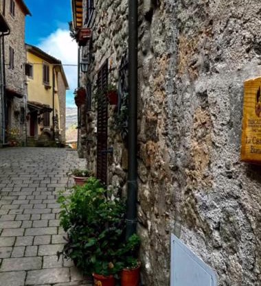 CASTAGNA BIANCA - Tuscan ToBe srl