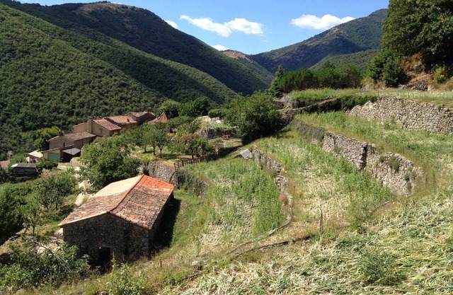 Cevennes-style character house in a hamlet near Valleraugue.