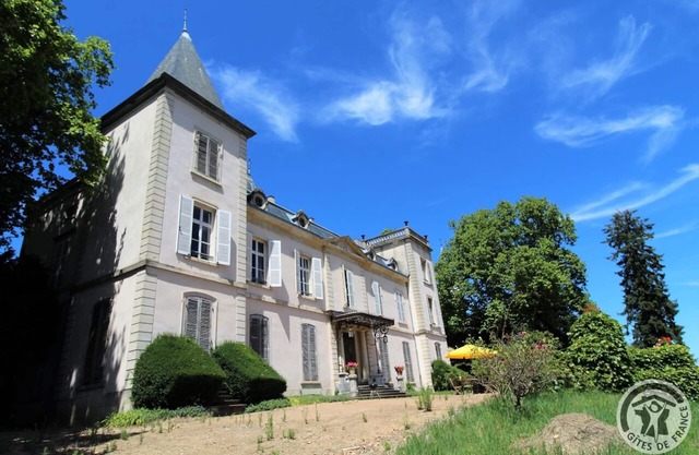 Château d'Emeringes - EMERINGES