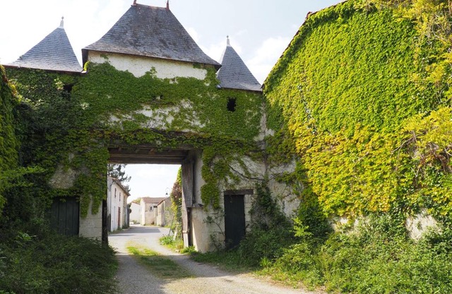 Château de Parançay - 15 people lodge