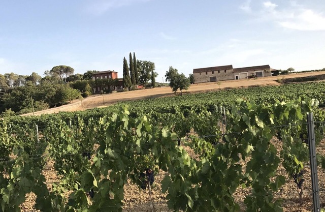 Château du Grand Jas