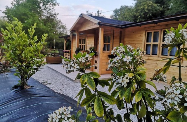 chalet 5/6 pers à 15 minutes des plages et baie de Douarnenez