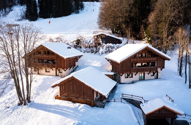 Chalet 5* ski in/out, swimming-pool, sauna, cinema, 20 people