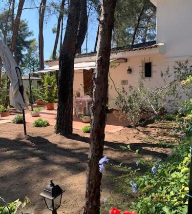 Chalet Felicita con giardino Immerso nel bosco