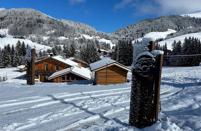 Chalet de l'Ours, at the foot of the Espace Diamant slopes, ideal for families