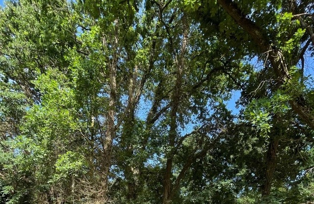 Chalet in the heart of the Fontainebleau forest