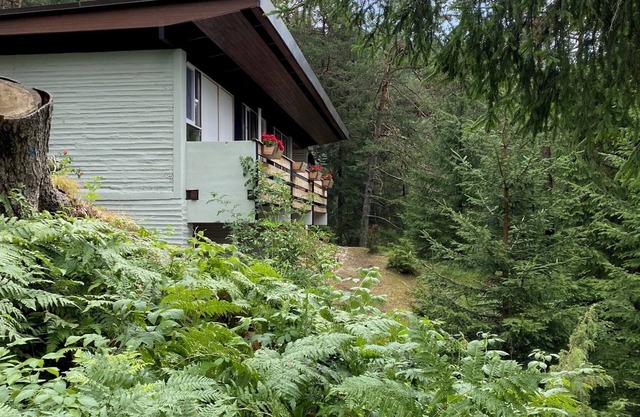 Chalet in the enchanted forest