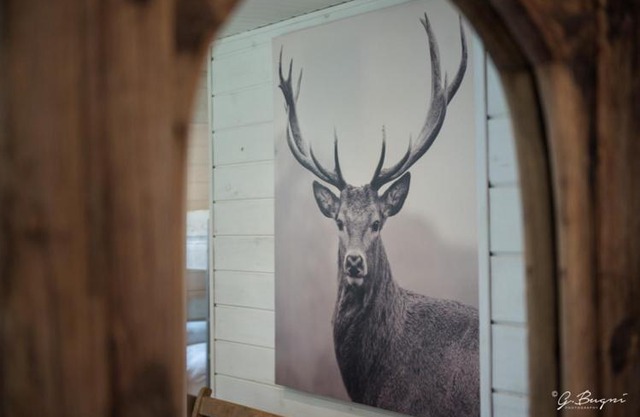 Chalet Le Grand Cerf