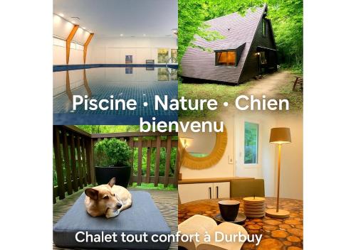 Chalet Séquoia 138 Nature, piscine et chien bienvenu à Durbuy