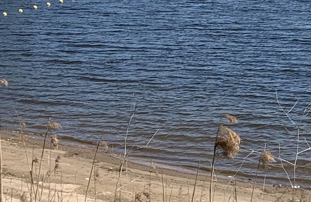 Chalet Silas am Rhederlaag See from 23.04.-02.06.22 Discount 10 %