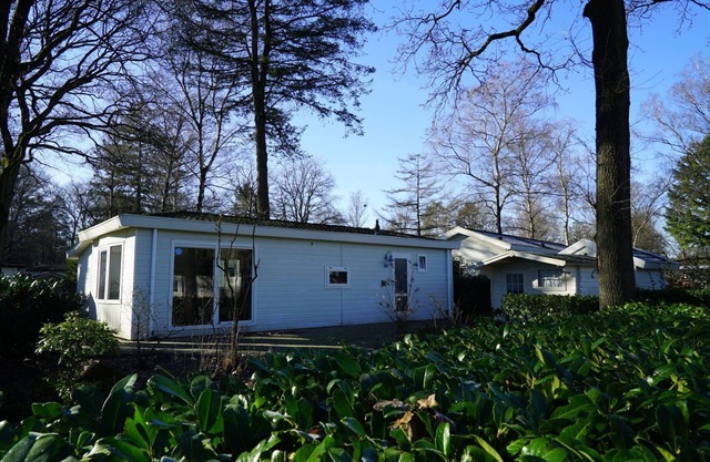 Chalet with 2 bedrooms and a terrace