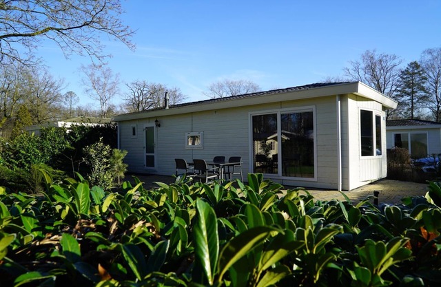 Chalet with 2 bedrooms and a terrace