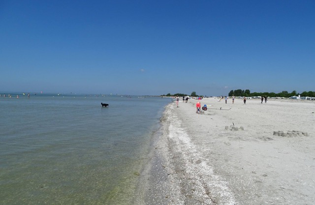 Chalet YY-4 with an unobstructed view of the IJsselmeer.