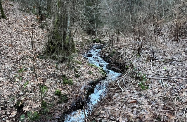 Chambre Chez Lhabitant