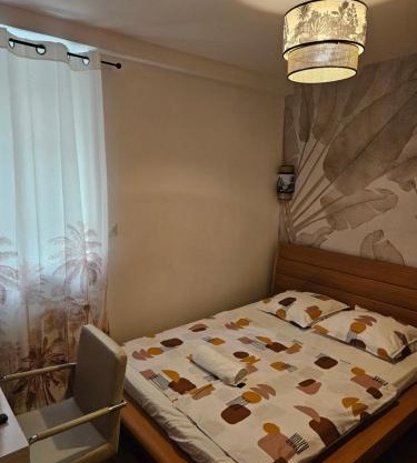 Chambre confort - salle de bain - 5 mins Gare Annemasse