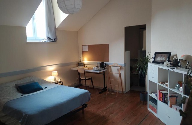 Chambre dans appartement de caractère