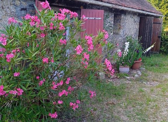 Chambre indépendante au calme
