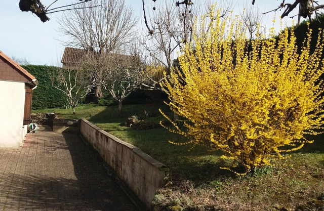 Chambres Chez L'habitant Coco2