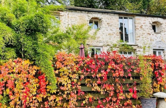 Chapel Barn, near Camel Trail, Bodmin - sleeps 4 guests+parking+doggie