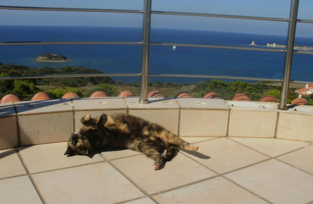 Charly Point Villa-apartment, double room