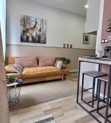 Charmant 2 pièces cozy avec balcon