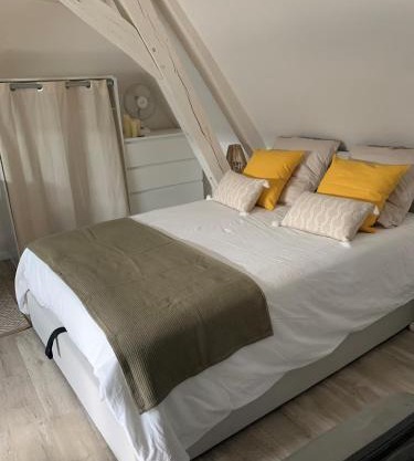 Charmant et cosy appartement