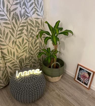 Charmant T4 en plein cœur des chartreux