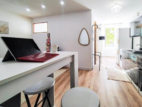 Charme de l'Isère au Coeur de Ville