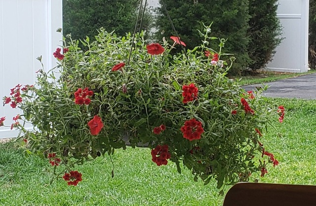 Charming 1-bedroom building in Brooksville with WiFi, AC. Peaceful.