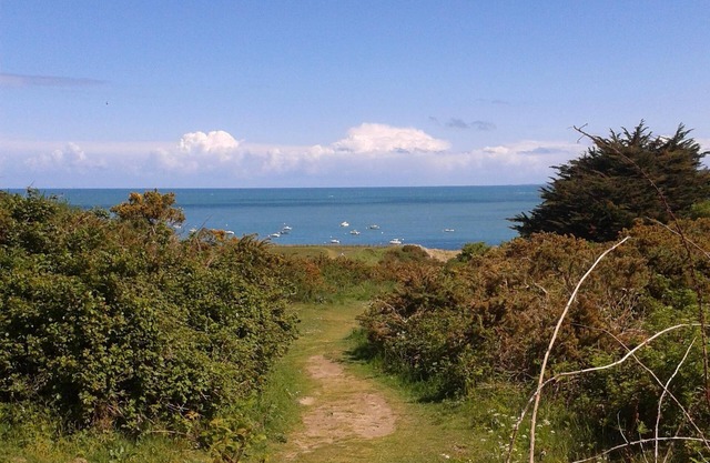 Charming 2-room apartment with direct beach access, ideal for couples and young children