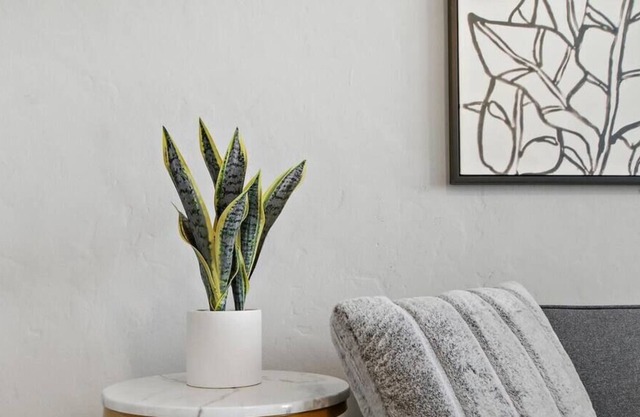 Charming 2BR Apt in Lincoln Square Near Stores