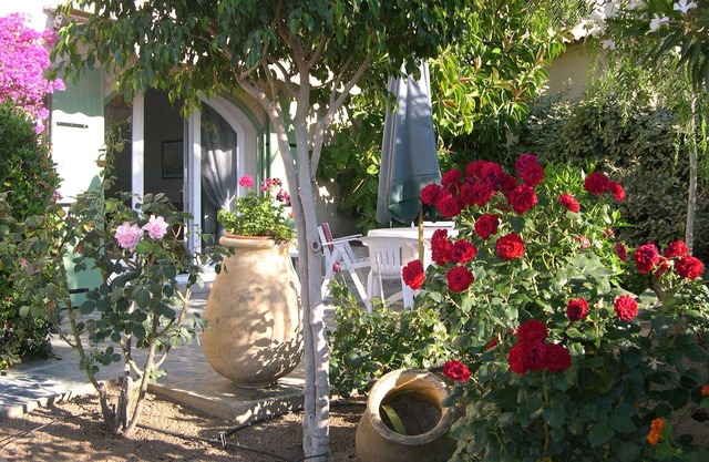 Charming air-conditioned studio at the foot of the beaches, 4p, with its pretty tree-lined terrace
